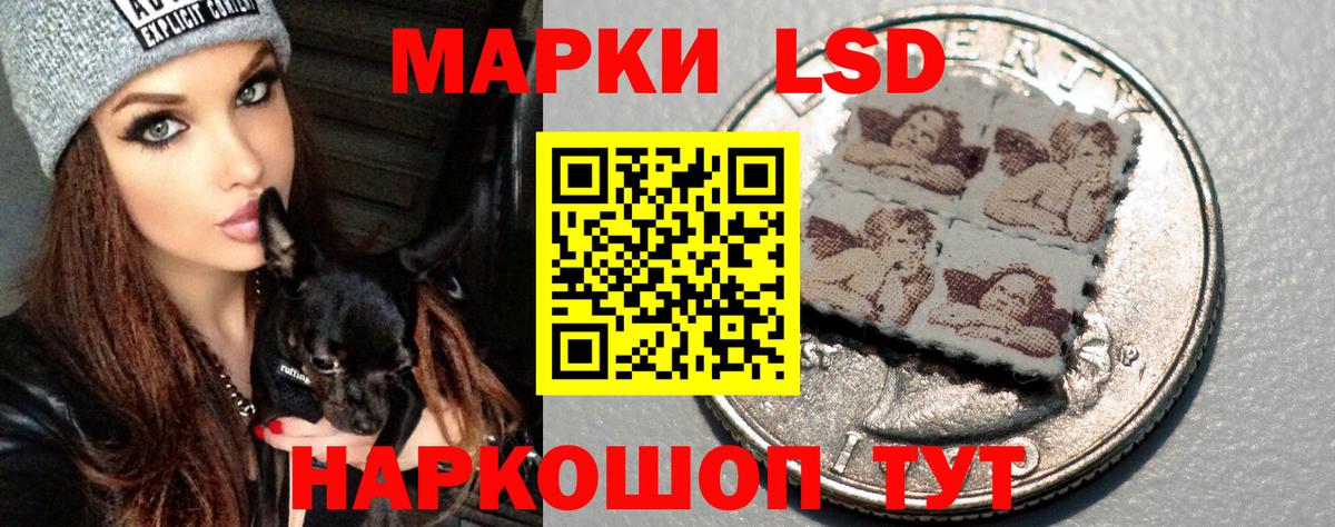 Лсд 25 экстази ecstasy  ЛСД экстази ecstasy  Вход с VPN  Грозный 