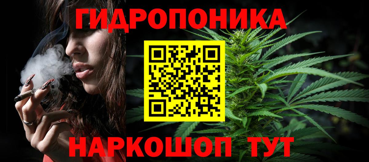 Конопля MAZAR Грозный